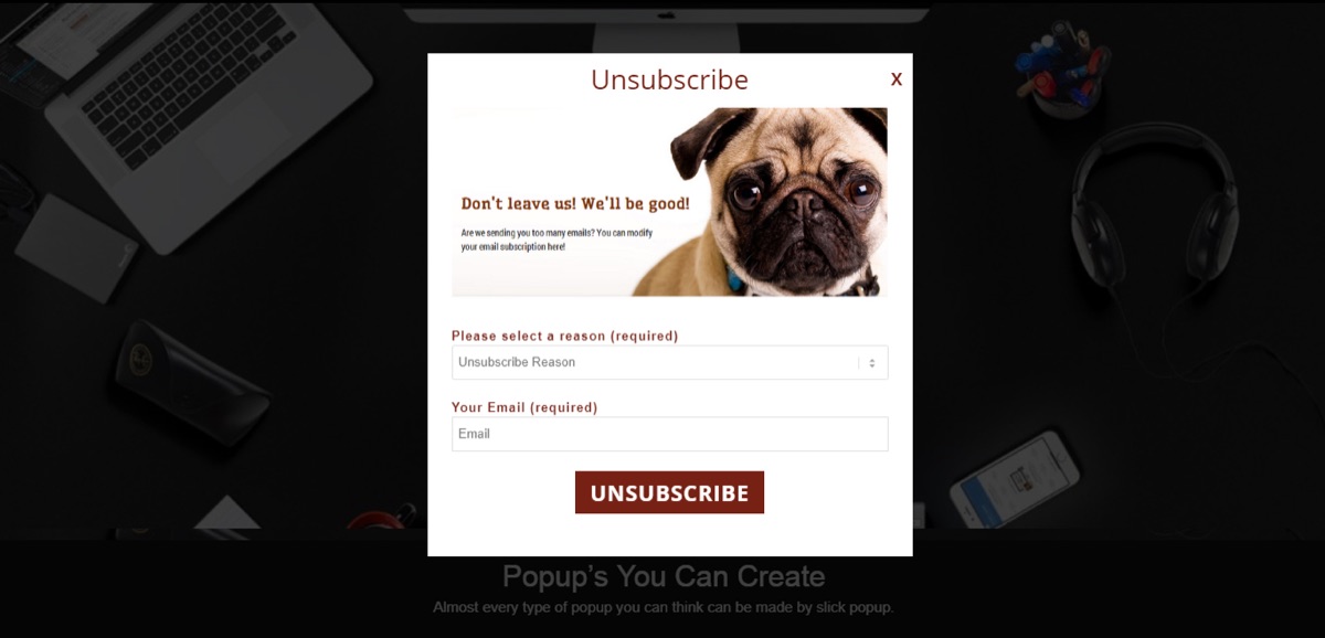 Unsubscribe Popup screenshot